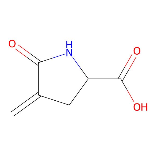 2D Structure of (2S)-4-methylidene-5-oxopyrrolidine-2-carboxylic acid