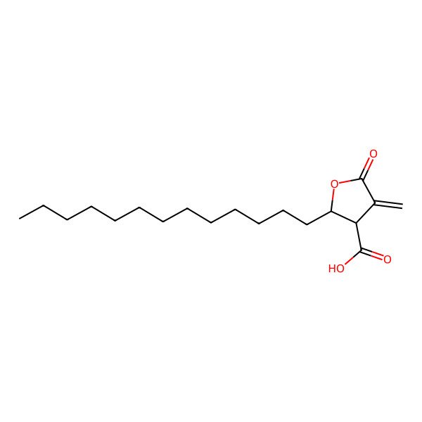 2D Structure of (2S,3S)-4-methylidene-5-oxo-2-tridecyloxolane-3-carboxylic acid 2D Structure of (2S,3S)-4-methylidene-5-oxo-2-tridecyloxolane-3-carboxylic acid