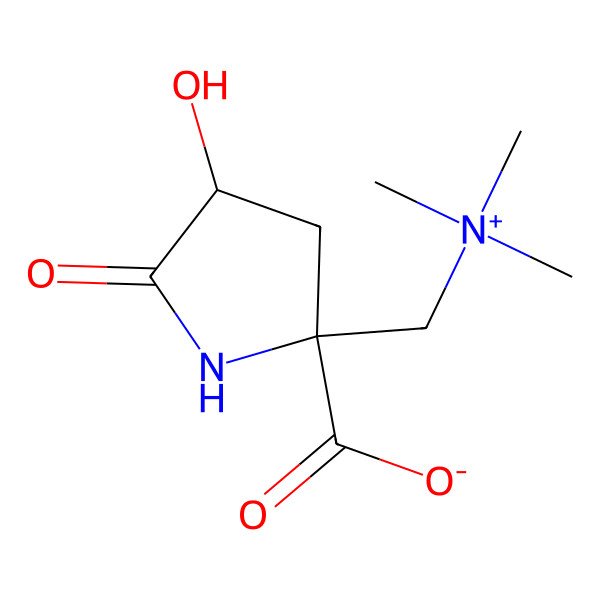 2D Structure of (2S,4S)-4-hydroxy-5-oxo-2-[(trimethylazaniumyl)methyl]pyrrolidine-2-carboxylate