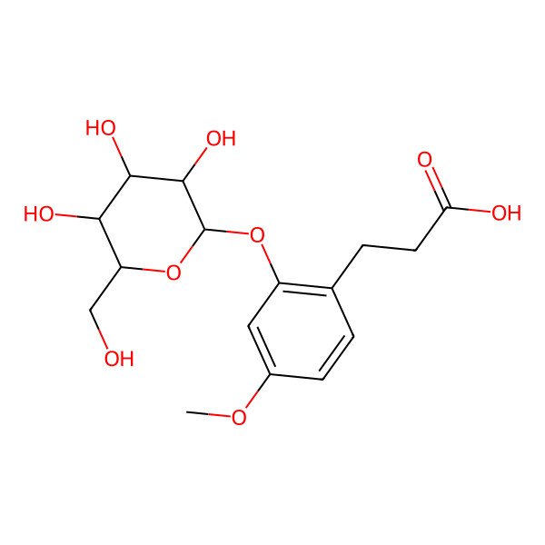 2D Structure of 3-(2-Glucosyloxy-4-methoxyphenyl)propanoic acid