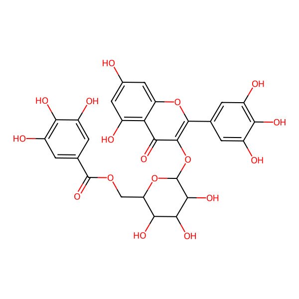 2D Structure of 3-(6-O-Galloyl-beta-D-glucopyranosyloxy)-3',4',5,5',7-pentahydroxyflavone 2D Structure of 3-(6-O-Galloyl-beta-D-glucopyranosyloxy)-3',4',5,5',7-pentahydroxyflavone