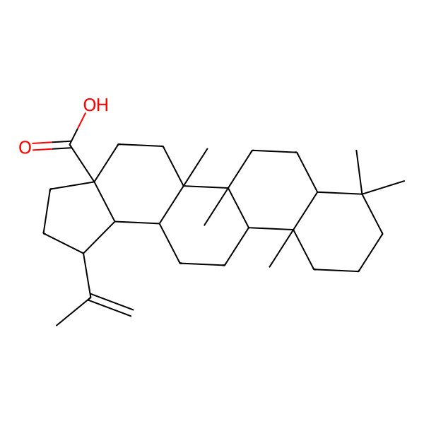 2D Structure of 3-Deoxybetulonic Acid