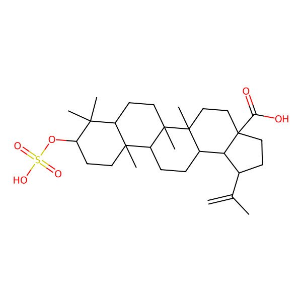 2D Structure of 3-epi-Betulinic acid sulfate
