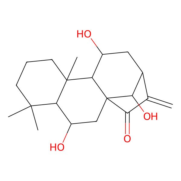 2D Structure of (1S,3S,4R,9R,10S,11S,13S,16R)-3,11,16-trihydroxy-5,5,9-trimethyl-14-methylidenetetracyclo[11.2.1.01,10.04,9]hexadecan-15-one