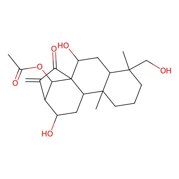 2D Structure of [(1R,2R,4S,5S,9R,10S,12S,13R,16R)-2,12-dihydroxy-5-(hydroxymethyl)-5,9-dimethyl-14-methylidene-15-oxo-16-tetracyclo[11.2.1.01,10.04,9]hexadecanyl] acetate