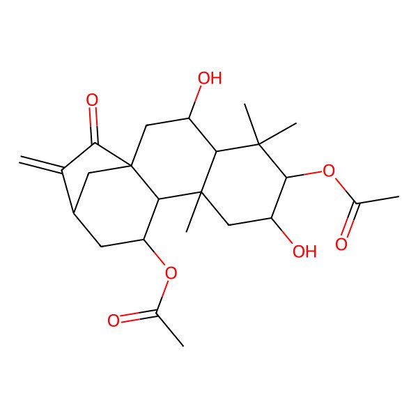 2D Structure of [(1S,4S,6R,7S,10S,11S,13S)-6-acetyloxy-3,7-dihydroxy-5,5,9-trimethyl-14-methylidene-15-oxo-11-tetracyclo[11.2.1.01,10.04,9]hexadecanyl] acetate