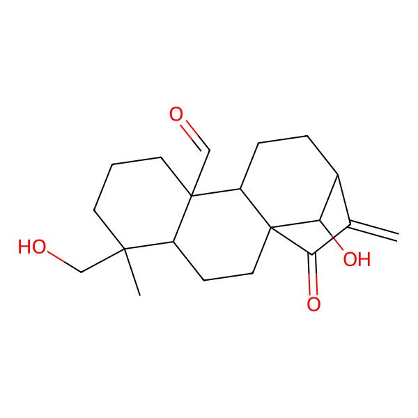 2D Structure of (1S,4R,5S,9S,10S,13S,16R)-16-hydroxy-5-(hydroxymethyl)-5-methyl-14-methylidene-15-oxotetracyclo[11.2.1.01,10.04,9]hexadecane-9-carbaldehyde