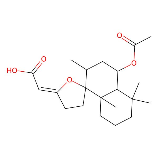 2D Structure of [(1R,2R,4aalpha,5'E)-2alpha,5,5,8abeta-Tetramethyl-4beta-acetoxy-4',5'-dihydrospiro[decalin-1,2'(3'H)-furan]-5'-ylidene]acetic acid