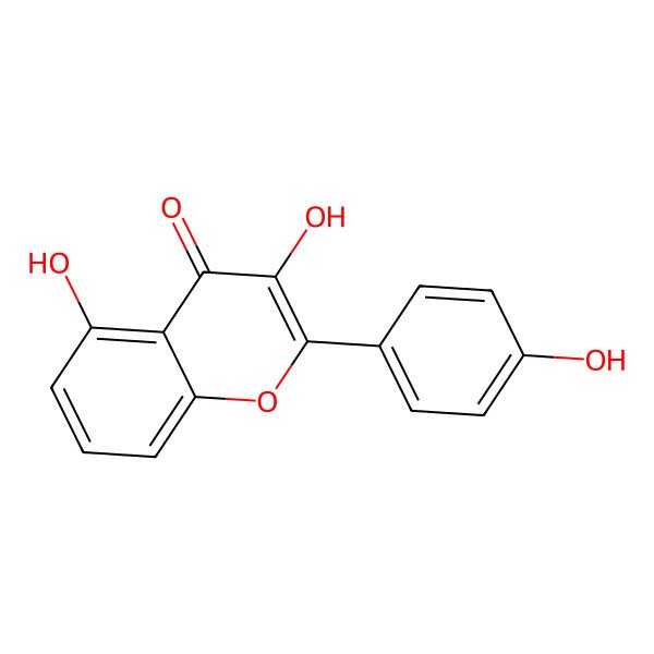 2D Structure of 3,5-Dihydroxy-2-(4-hydroxyphenyl)chromen-4-one 2D Structure of 3,5-Dihydroxy-2-(4-hydroxyphenyl)chromen-4-one