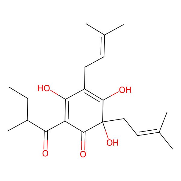 2D Structure of 3,5,6-Trihydroxy-2-(2-methylbutanoyl)-4,6-bis(3-methylbut-2-enyl)cyclohexa-2,4-dien-1-one 2D Structure of 3,5,6-Trihydroxy-2-(2-methylbutanoyl)-4,6-bis(3-methylbut-2-enyl)cyclohexa-2,4-dien-1-one