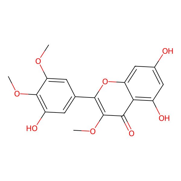 2D Structure of 3',5,7-Trihydroxy-3,4',5'-trimethoxyflavone 2D Structure of 3',5,7-Trihydroxy-3,4',5'-trimethoxyflavone