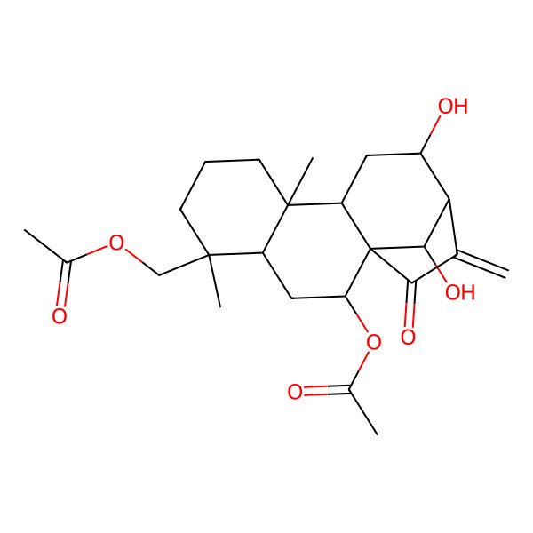 2D Structure of [(1S,2R,4S,5S,9R,10S,12S,13R,16R)-2-acetyloxy-12,16-dihydroxy-5,9-dimethyl-14-methylidene-15-oxo-5-tetracyclo[11.2.1.01,10.04,9]hexadecanyl]methyl acetate