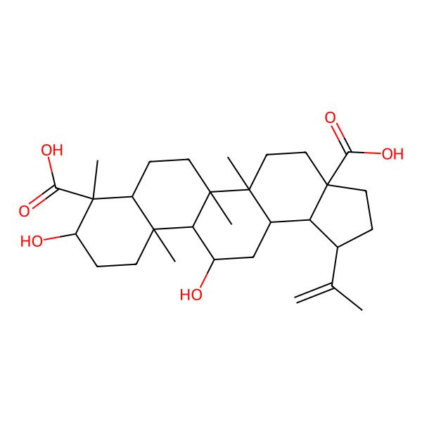 2D Structure of 3alpha,11alpha-Dihydroxylup-20(29)-ene-23,28-dioic acid