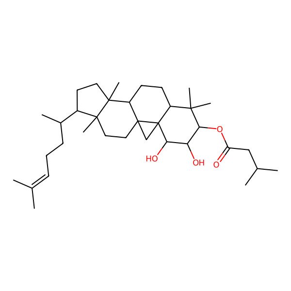 2D Structure of [(1S,3S,4R,5R,6R,8S,11S,12S,15R,16R)-4,5-dihydroxy-7,7,12,16-tetramethyl-15-[(2R)-6-methylhept-5-en-2-yl]-6-pentacyclo[9.7.0.01,3.03,8.012,16]octadecanyl] 3-methylbutanoate