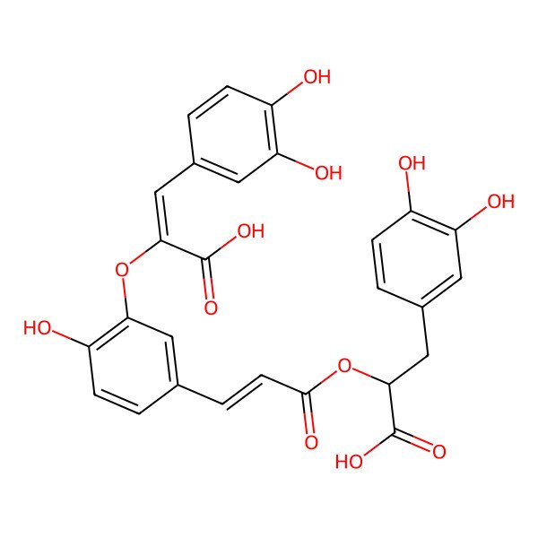 2D Structure of (E)-3-[3-[[(Z)-1-Carboxy-2-(3,4-dihydroxyphenyl)ethenyl]oxy]-4-hydroxyphenyl]propenoic acid 1-[(R)-1-carboxy-2-(3,4-dihydroxyphenyl)ethyl] ester