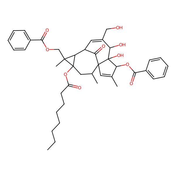 2D Structure of [(1S,4S,5S,6R,9S,10R,11R,12S,14R)-4-benzoyloxy-5,6-dihydroxy-7-(hydroxymethyl)-3,11,14-trimethyl-12-octanoyloxy-15-oxo-11-tetracyclo[7.5.1.01,5.010,12]pentadeca-2,7-dienyl]methyl benzoate