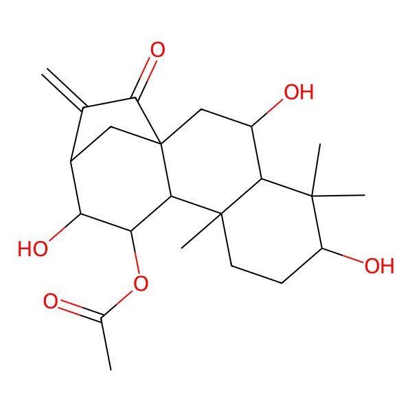 2D Structure of [(1S,3S,4S,6S,10S,11S,12R,13R)-3,6,12-trihydroxy-5,5,9-trimethyl-14-methylidene-15-oxo-11-tetracyclo[11.2.1.01,10.04,9]hexadecanyl] acetate