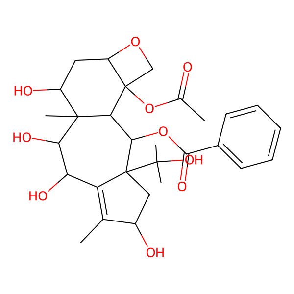 2D Structure of [(2S,3S,5S,8R,9R,10S,11S,13R,16S)-16-acetyloxy-5,8,9,11-tetrahydroxy-3-(2-hydroxypropan-2-yl)-6,10-dimethyl-14-oxatetracyclo[8.6.0.03,7.013,16]hexadec-6-en-2-yl] benzoate