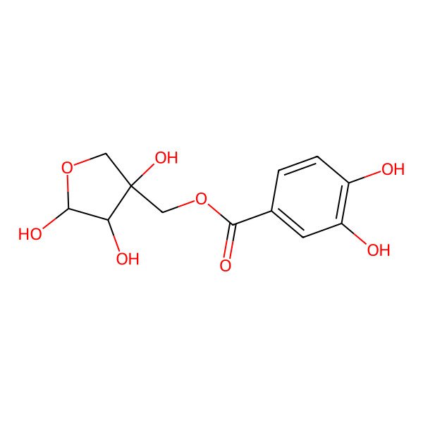 2D Structure of [(3S,4R,5R)-3,4,5-trihydroxyoxolan-3-yl]methyl 3,4-dihydroxybenzoate