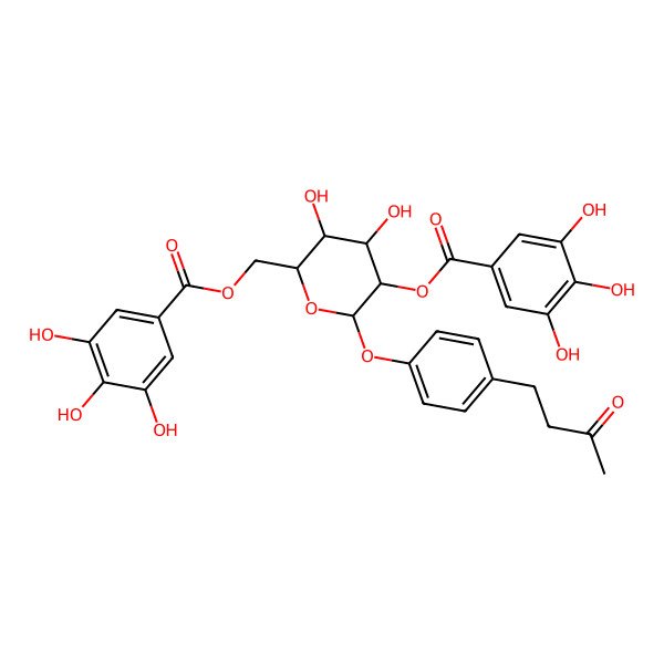 2D Structure of 4-(4-((2,6-Bis-O-(3,4,5-trihydroxybenzoyl)-beta-D-glucopyranosyl)oxy)phenyl)-2-butanone 2D Structure of 4-(4-((2,6-Bis-O-(3,4,5-trihydroxybenzoyl)-beta-D-glucopyranosyl)oxy)phenyl)-2-butanone