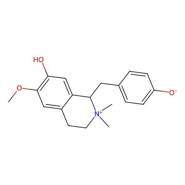 2D Structure of 4-[(7-hydroxy-6-methoxy-2,2-dimethyl-3,4-dihydro-1H-isoquinolin-2-ium-1-yl)methyl]phenolate