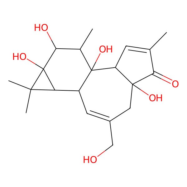 2D Structure of 4-beta-Phorbol