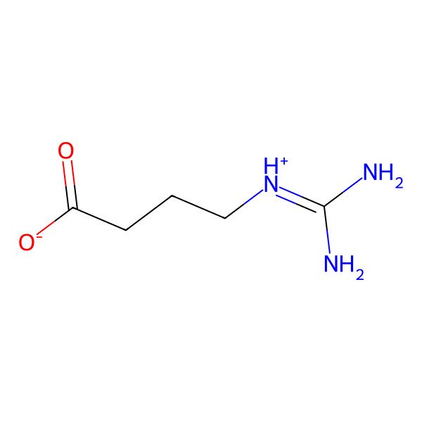 2D Structure of 4-Guanidinobutyrate 2D Structure of 4-Guanidinobutyrate
