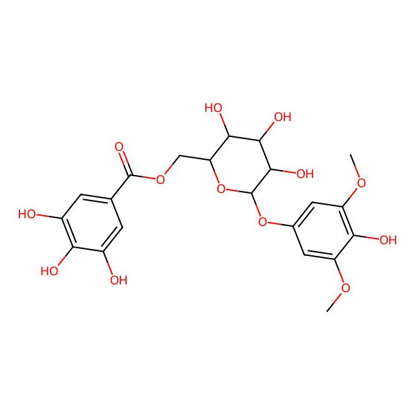 2D Structure of 4-Hydroxy-3,5-dimethoxyphenyl 6-O-galloyl-beta-D-glucopyranoside