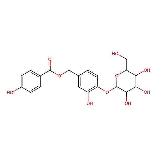 2D Structure of 4-Hydroxybenzoic acid 3-hydroxy-4-(beta-D-glucopyranosyloxy)benzyl ester 2D Structure of 4-Hydroxybenzoic acid 3-hydroxy-4-(beta-D-glucopyranosyloxy)benzyl ester