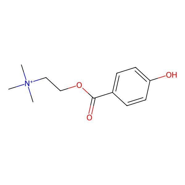 2D Structure of 4-Hydroxybenzoylcholine 2D Structure of 4-Hydroxybenzoylcholine