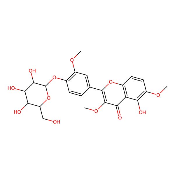 2D Structure of 5-hydroxy-3,6-dimethoxy-2-[3-methoxy-4-[(2S,3R,4S,5R,6R)-3,4,5-trihydroxy-6-(hydroxymethyl)oxan-2-yl]oxyphenyl]chromen-4-one