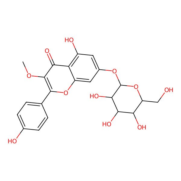 2D Structure of 4',5,7-trihydroxy-3-methoxyflavone-7-O-beta-D-glucopyranoside
