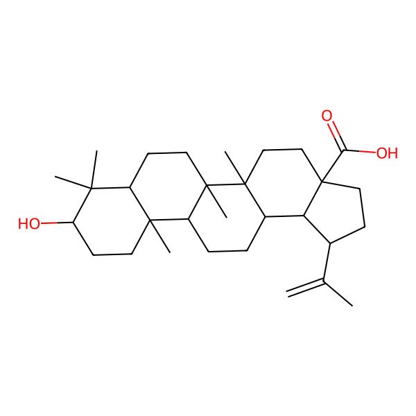 2D Structure of 9-Hydroxy-5a,5b,8,8,11a-pentamethyl-1-prop-1-en-2-yl-1,2,3,4,5,6,7,7a,9,10,11,11b,12,13,13a,13b-hexadecahydrocyclopenta[a]chrysene-3a-carboxylic acid