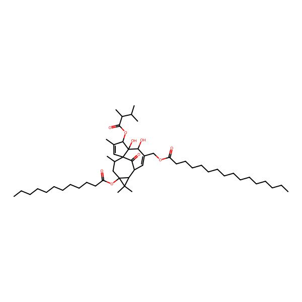 2D Structure of Hexadecanoic acid, (6-(2,3-dimethyl-1-oxobutoxy)-1a,2,5,5a,6,9,10,10a-octahydro-5,5a-dihydroxy-1,1,7,9-tetramethyl-11-oxo-10a-((1-oxododecyl)oxy)-1H-2,8a-methanocyclopenta(a)cyclopropa(e)cyclodecen-4-yl)methyl ester
