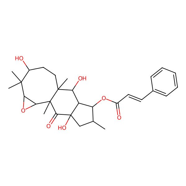 2D Structure of [(1R,2S,4S,6S,9R,10R,11S,12S,13S,15R)-6,10,15-trihydroxy-1,5,5,9,13-pentamethyl-16-oxo-3-oxatetracyclo[7.7.0.02,4.011,15]hexadecan-12-yl] (E)-3-phenylprop-2-enoate