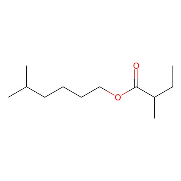 2D Structure of 5-Methylhexyl 2-methylbutanoate 2D Structure of 5-Methylhexyl 2-methylbutanoate