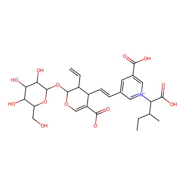 2D Structure of (2S,3R,4S)-4-[(E)-2-[5-carboxy-1-[(1S,2S)-1-carboxy-2-methylbutyl]pyridin-1-ium-3-yl]ethenyl]-3-ethenyl-2-[(2S,3R,4S,5S,6R)-3,4,5-trihydroxy-6-(hydroxymethyl)oxan-2-yl]oxy-3,4-dihydro-2H-pyran-5-carboxylate