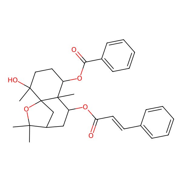 2D Structure of [(5S,6S)-2-hydroxy-2,6,10,10-tetramethyl-7-[(E)-3-phenylprop-2-enoyl]oxy-11-oxatricyclo[7.2.1.01,6]dodecan-5-yl] benzoate