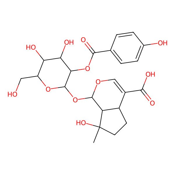 2D Structure of 1-[(2S,3R,4R,5S,6R)-4,5-dihydroxy-3-(4-hydroxybenzoyl)oxy-6-(hydroxymethyl)oxan-2-yl]oxy-7-hydroxy-7-methyl-4a,5,6,7a-tetrahydro-1H-cyclopenta[c]pyran-4-carboxylic acid