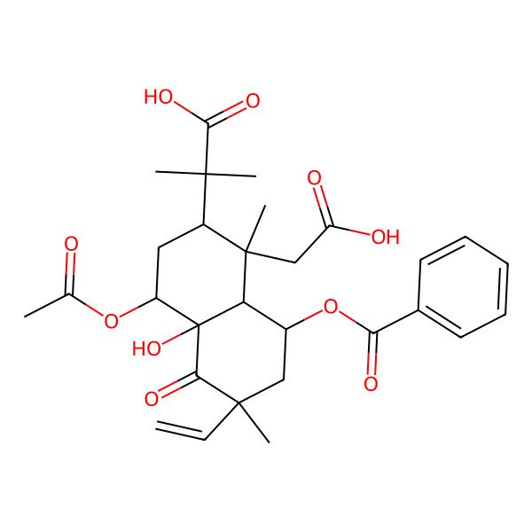2D Structure of 2-[(1S,2R,4R,4aR,6R,8R,8aS)-4-acetyloxy-8-benzoyloxy-1-(carboxymethyl)-6-ethenyl-4a-hydroxy-1,6-dimethyl-5-oxo-2,3,4,7,8,8a-hexahydronaphthalen-2-yl]-2-methylpropanoic acid