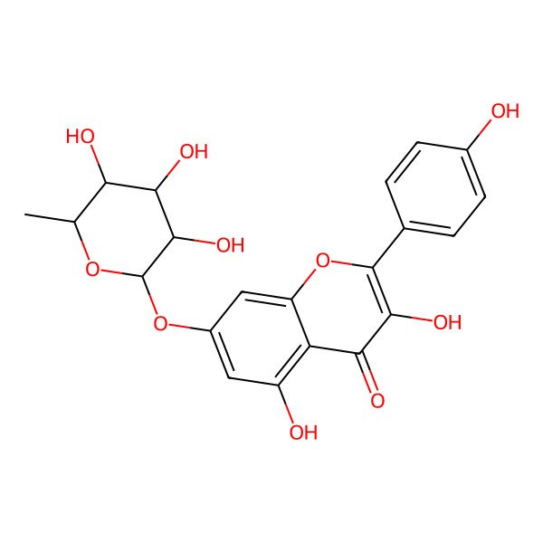 2D Structure of 3,5-Dihydroxy-2-(4-hydroxyphenyl)-7-[(3,4,5-trihydroxy-6-methyltetrahydro-2H-pyran-2-yl)oxy]-4H-1-benzopyran-4-one
