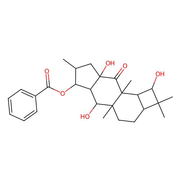 2D Structure of [(1R,2R,3S,4S,5S,7R,9S,10R,11R,13S)-2,7,11-trihydroxy-1,5,9,12,12-pentamethyl-8-oxo-4-tetracyclo[7.6.0.03,7.010,13]pentadecanyl] benzoate