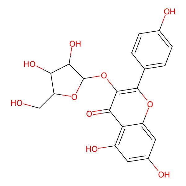 2D Structure of 2-(4-Hydroxyphenyl)-3-[[(2R)-3alpha,4beta-dihydroxy-5alpha-(hydroxymethyl)tetrahydrofuran]-2alpha-yloxy]-5,7-dihydroxy-4H-1-benzopyran-4-one