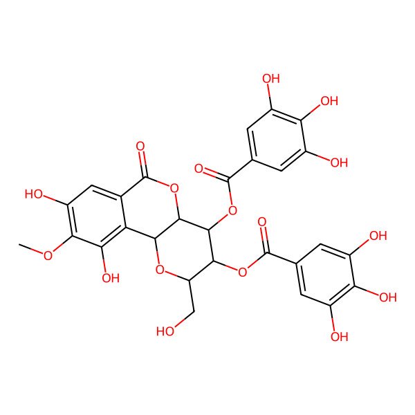 2D Structure of [(2R,3R,4R,4aS,10bS)-8,10-dihydroxy-2-(hydroxymethyl)-9-methoxy-6-oxo-4-(3,4,5-trihydroxybenzoyl)oxy-3,4,4a,10b-tetrahydro-2H-pyrano[3,2-c]isochromen-3-yl] 3,4,5-trihydroxybenzoate