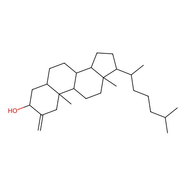 2D Structure of 5alpha-Cholestan-3beta-ol, 2-methylene- 2D Structure of 5alpha-Cholestan-3beta-ol, 2-methylene-