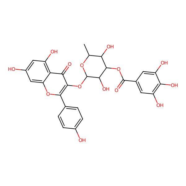 2D Structure of [(2S,3R,4R,5S,6S)-2-[5,7-dihydroxy-2-(4-hydroxyphenyl)-4-oxochromen-3-yl]oxy-3,5-dihydroxy-6-methyloxan-4-yl] 3,4,5-trihydroxybenzoate