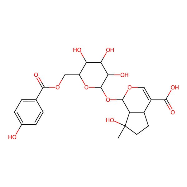 2D Structure of 6'-O-p-Hydroxybenzoylmussaenosidic acid