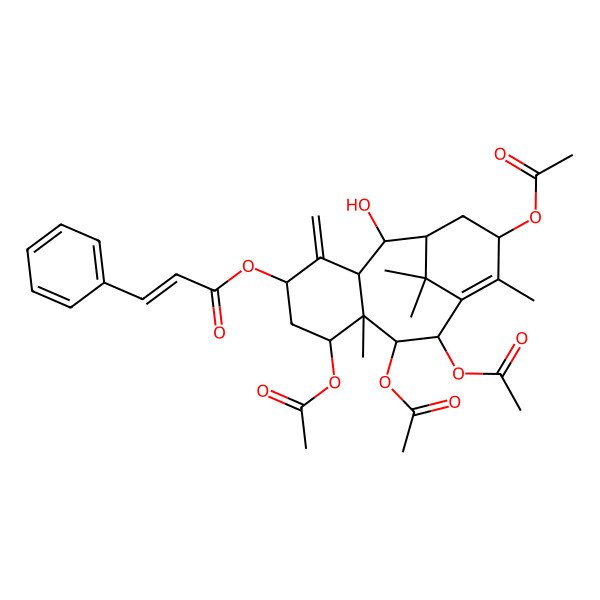2D Structure of [(2R,3R,5S,7S,8S,9R,10R,13S)-7,9,10,13-tetraacetyloxy-2-hydroxy-8,12,15,15-tetramethyl-4-methylidene-5-tricyclo[9.3.1.03,8]pentadec-11-enyl] (E)-3-phenylprop-2-enoate