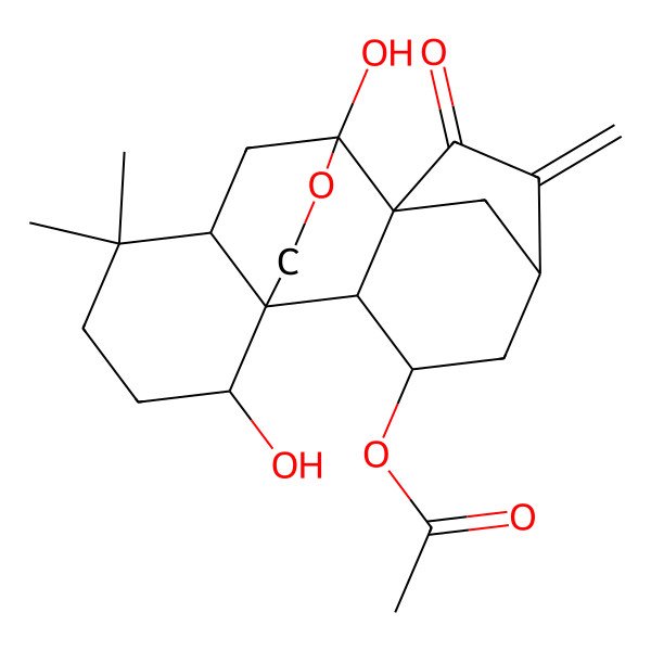 2D Structure of [(1R,2S,3S,5S,8S,9S,11R,15S)-9,15-dihydroxy-12,12-dimethyl-6-methylidene-7-oxo-17-oxapentacyclo[7.6.2.15,8.01,11.02,8]octadecan-3-yl] acetate
