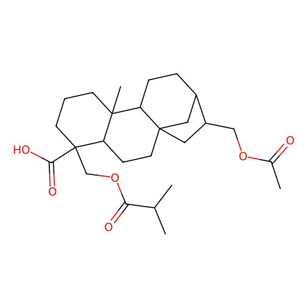 2D Structure of 14-(Acetyloxymethyl)-9-methyl-5-(2-methylpropanoyloxymethyl)tetracyclo[11.2.1.01,10.04,9]hexadecane-5-carboxylic acid